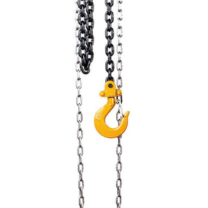 TALHA DE CORRENTE PARA 2000 KG COM 5MT 71000602 CSM