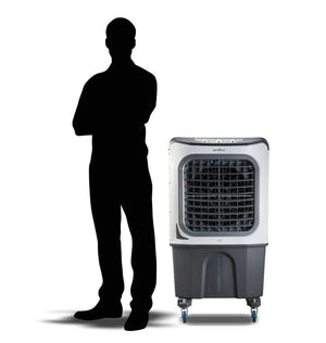 CLIMATIZADOR DE AR BCL70 4 EM 1 70L 220V BRITÂNIA