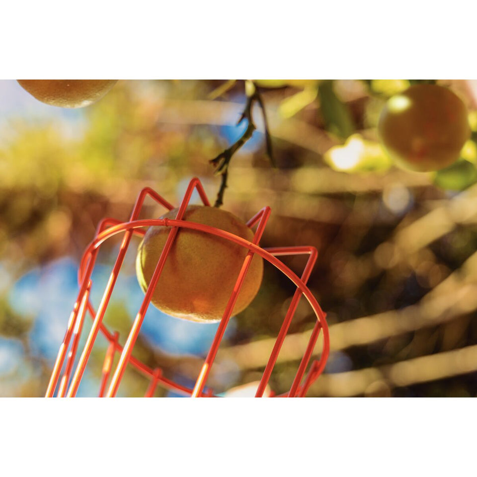 COLHEDOR DE FRUTAS MÉDIO SEM CABO 77819151 TRAMONTINA