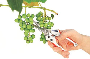 TESOURA PARA FRUTAS PROFISSIONAL 78316520 TRAMONTINA