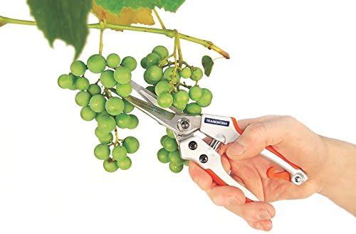 TESOURA PARA FRUTAS PROFISSIONAL 78316520 TRAMONTINA