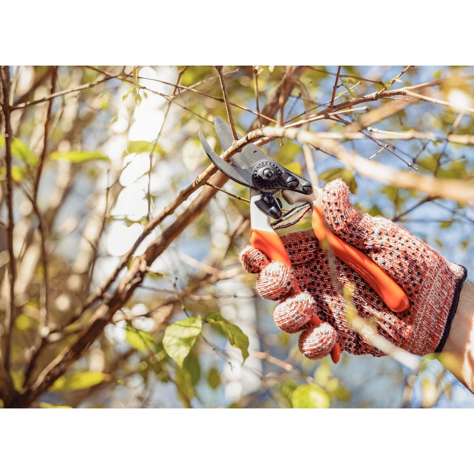 TESOURA PARA PODA PROFISSIONAL 78304511 TRAMONTINA