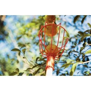 COLHEDOR DE FRUTAS MÉDIO SEM CABO 77819151 TRAMONTINA