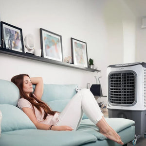 CLIMATIZADOR DE AR BCL70 4 EM 1 70L 220V BRITÂNIA