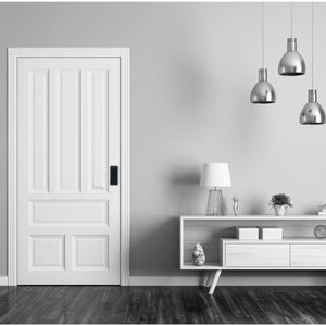 FECHADURA DIGITAL SOBREPOR PORTA MADEIRA OU METAL PADO FDS-B100EP BIOMETRIA SENHA