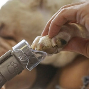 KIT PET GROOMING PARA MICRO RETÍFICA 2615PG0001 DREMEL