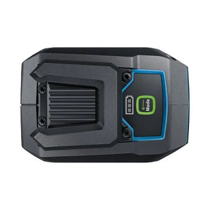 NÍVEL A LASER GLL 2-20 G COM 2 LINHAS VERDE 0601065001 BOSCH