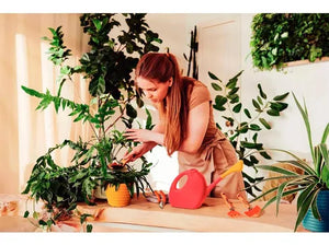 CONJUNTO PARA JARDINAGEM COM 3 PEÇAS 78100801 TRAMONTINA